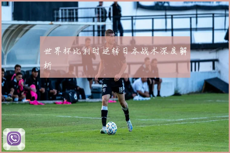 世界杯比利时逆转日本战术深度解析