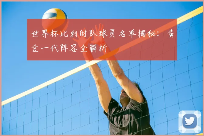 世界杯比利时队球员名单揭秘:黄金一代阵容全解析