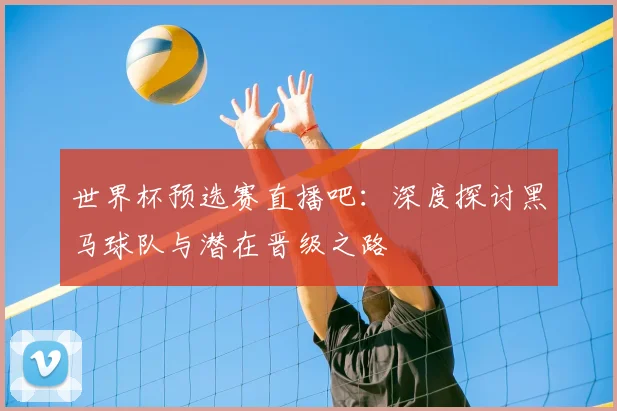 世界杯预选赛直播吧：深度探讨黑马球队与潜在晋级之路