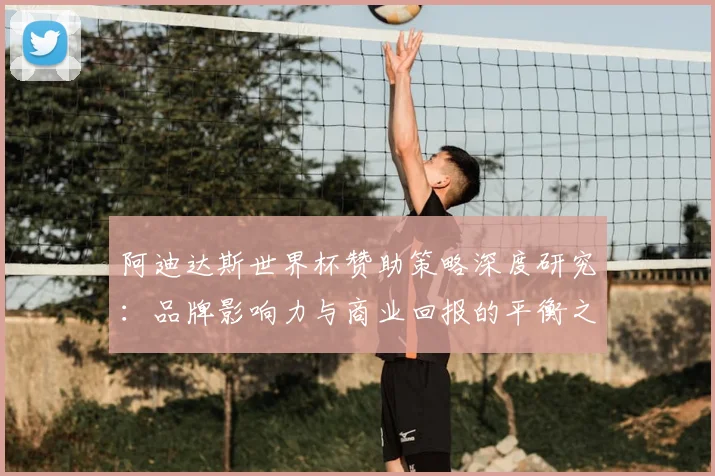 阿迪达斯世界杯赞助策略深度研究：品牌影响力与商业回报的平衡之道