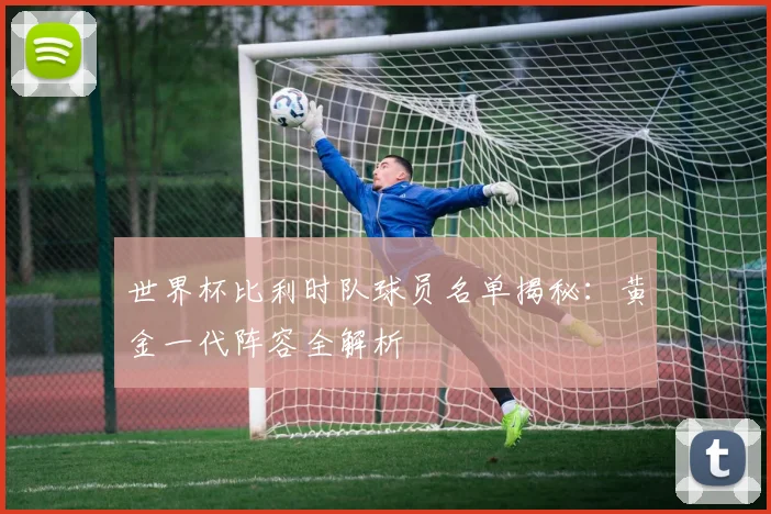 世界杯比利时队球员名单揭秘:黄金一代阵容全解析