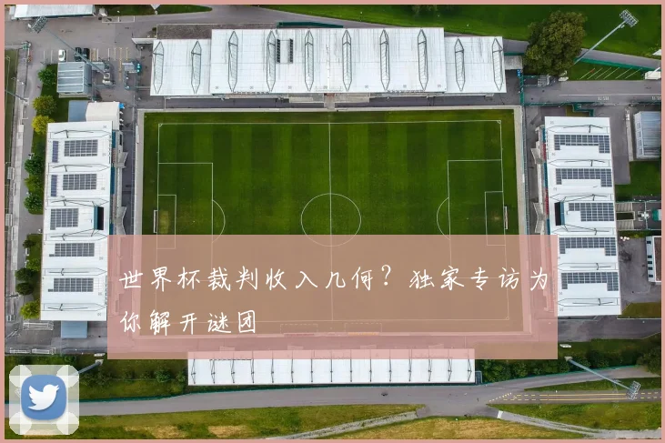世界杯裁判收入几何?独家专访为你解开谜团