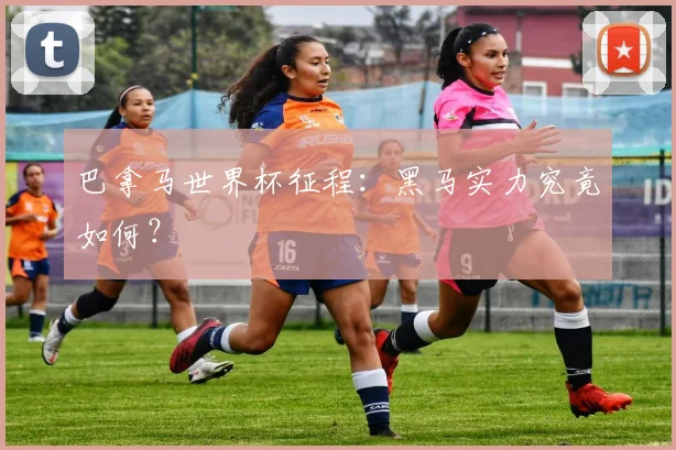 巴拿马世界杯征程：黑马实力究竟如何？