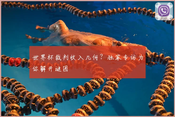世界杯裁判收入几何?独家专访为你解开谜团