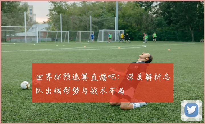 世界杯预选赛直播吧:深度解析各队出线形势与战术布局