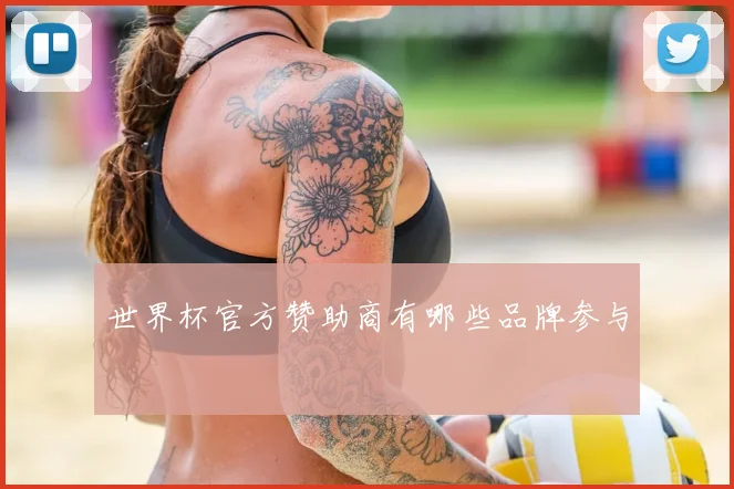 世界杯官方赞助商有哪些品牌参与