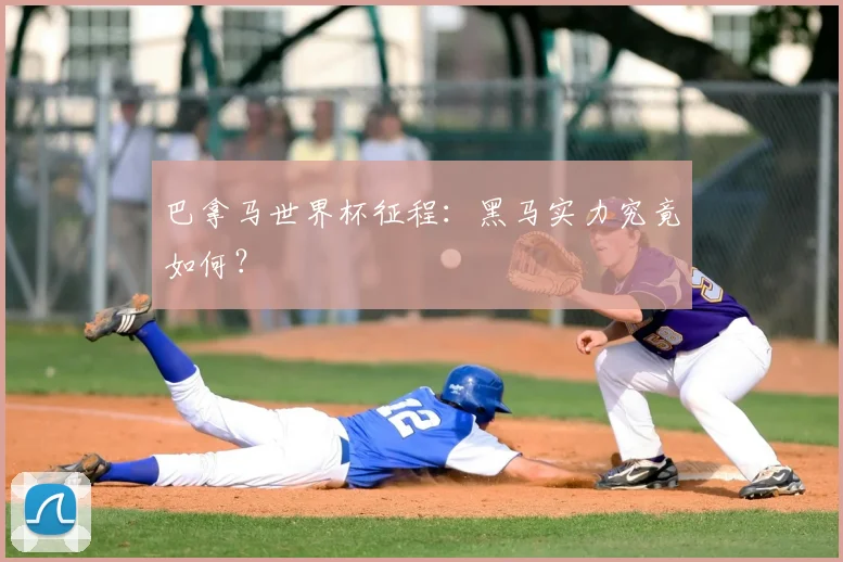 巴拿马世界杯征程：黑马实力究竟如何？